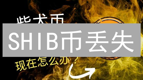 SHIB币丢失？别慌！找回指南：4步挽回你的柴犬币！
