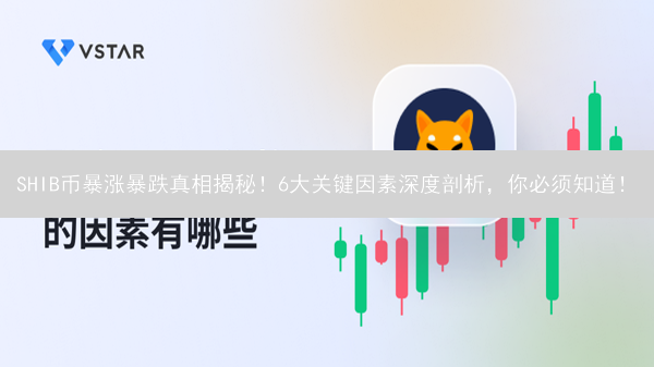 SHIB币暴涨暴跌真相揭秘！6大关键因素深度剖析，你必须知道！