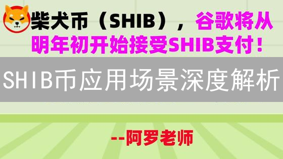SHIB币应用场景深度解析：支付、DeFi与生态发展