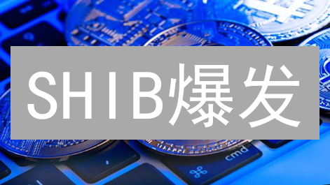 SHIB爆发？Web3.js解锁Shiba Inu的无限可能！