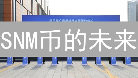 SNM币的未来：颠覆性应用场景大揭秘，下一个财富风口？