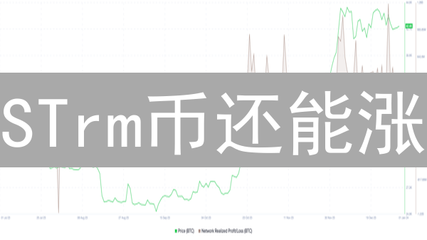 STrm币还能涨？深度剖析数据流网络潜力！