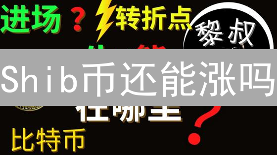 Shib币还能涨吗？2024年Shib币未来走势最新分析！