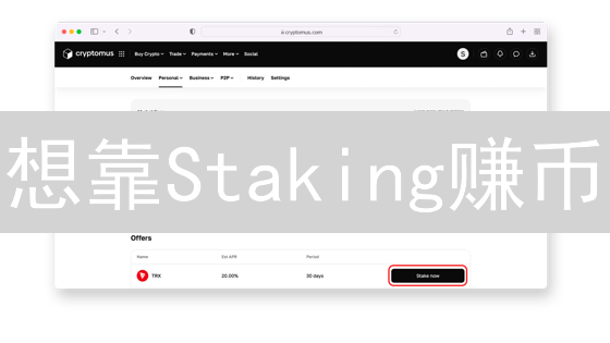 想靠Staking赚币？这份安全指南，能让你躺赢还是踩坑？