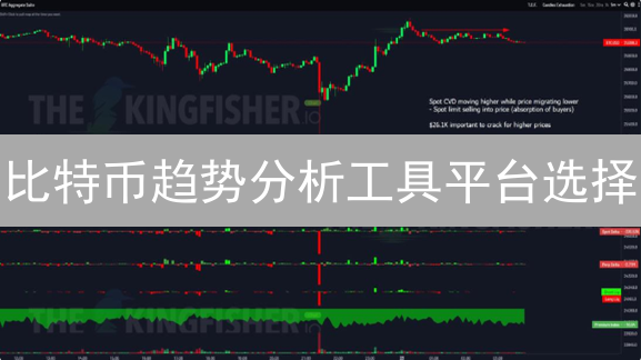比特币趋势分析工具平台选择：TradingView与Glassnode优劣分析