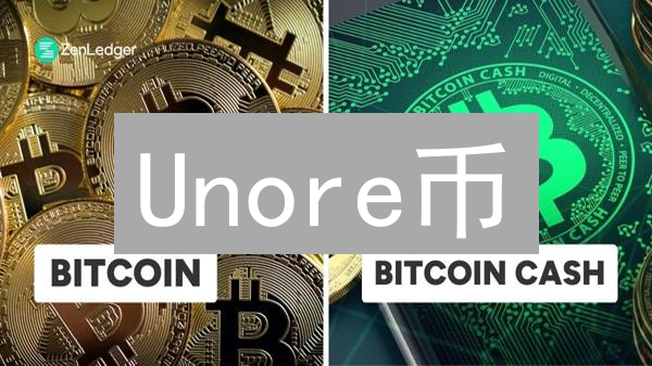 Unore币：颠覆传统金融？还是昙花一现？【深度解析】
