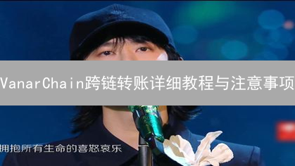 VanarChain跨链转账详细教程与注意事项