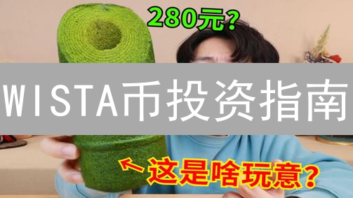 WISTA币投资指南：新手避坑，掘金元宇宙？