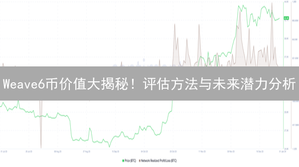 Weave6币价值大揭秘！评估方法与未来潜力分析