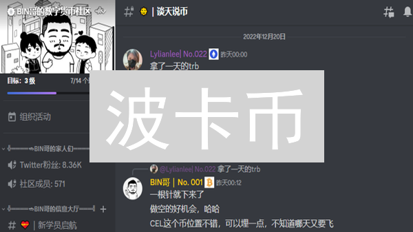 波卡币：长期持有的价值与风险分析，Web3基础设施解析